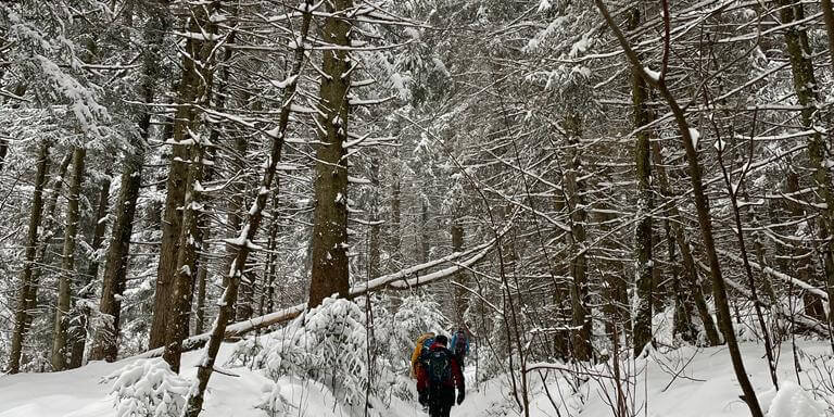 WhatsApp Image 2023-01-23 at 08.00.08 (2)